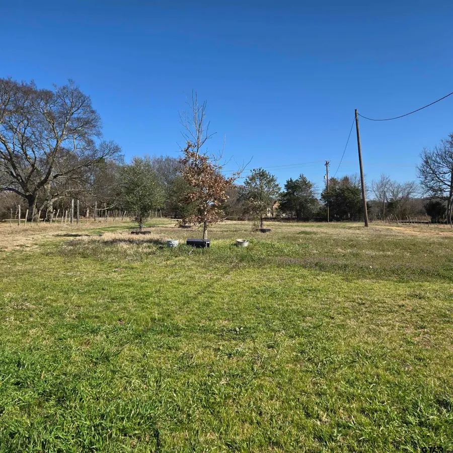 20688 County Road 178, Flint, TX 75762 - #3
