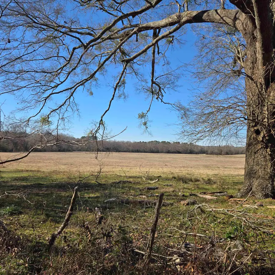 TBD COUNTY ROAD 1106, Flint, TX 75762 - #2