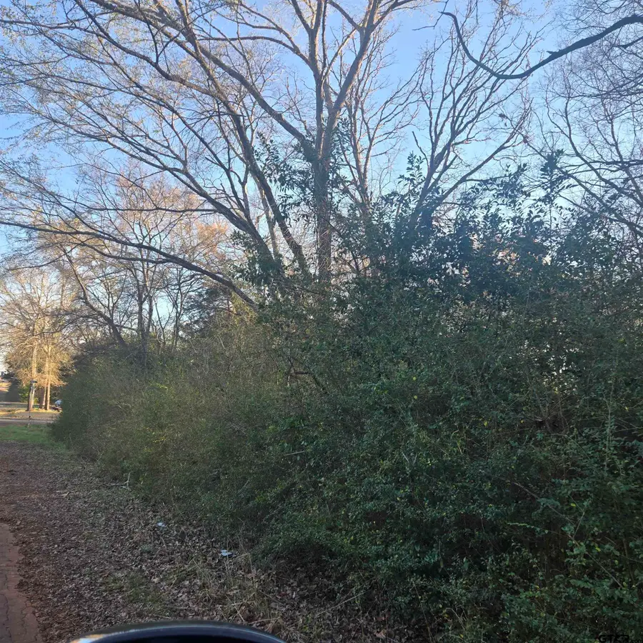 TBD ROLLING WOOD HILLS SUBDIVISION, Bullard, TX 75757 - #3