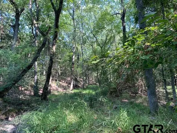 TR 4-A CR 41514, Athens, TX 75751