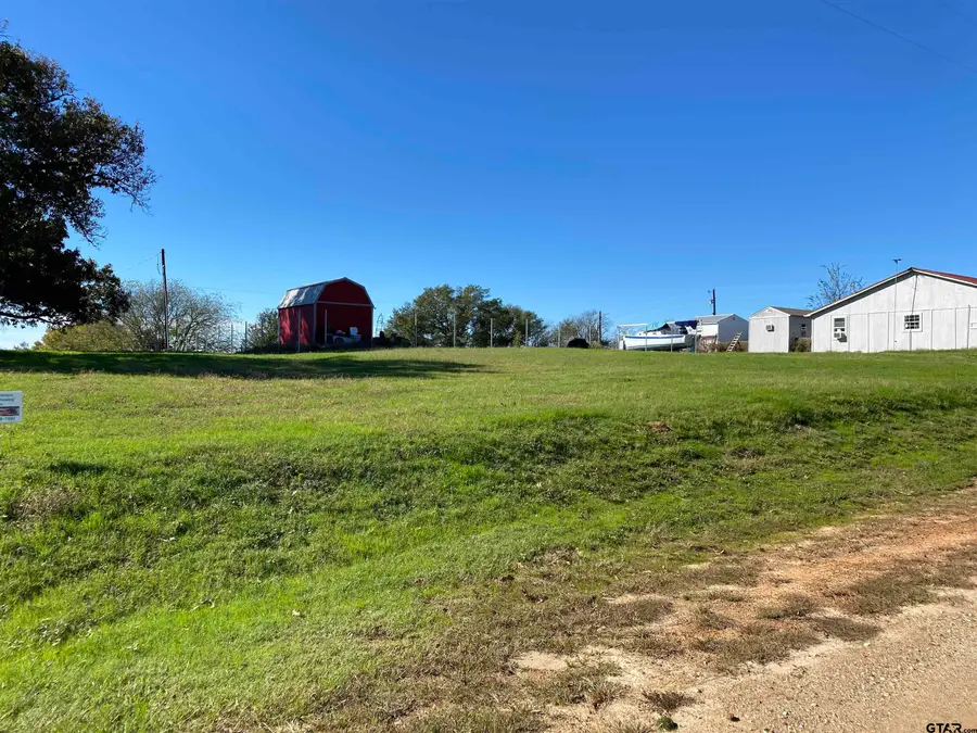 Lot 107 & 108 Concho, Quitman, TX 75783 - #2