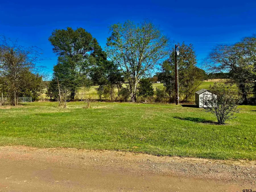 Lot 107 & 108 Concho, Quitman, TX 75783 - #3