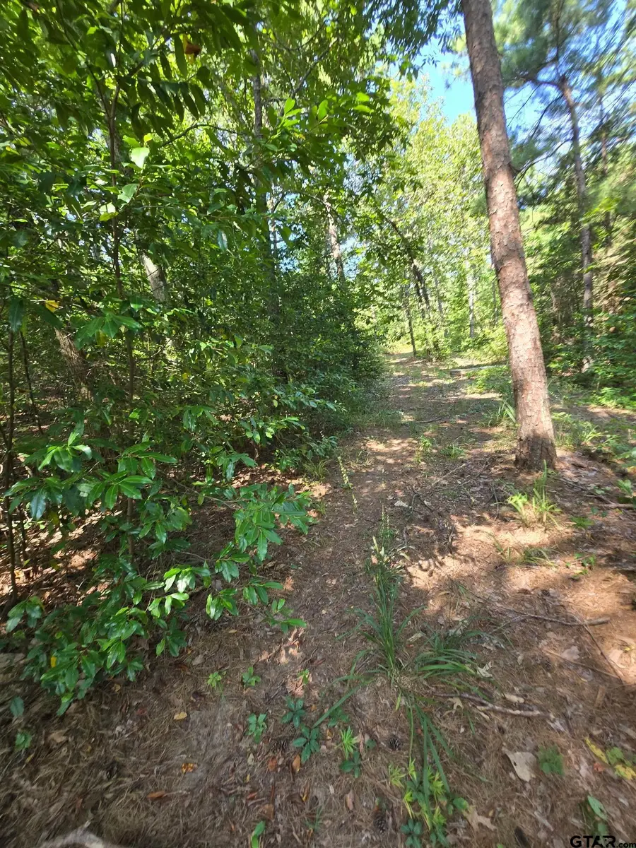 5230 CR 380, Tyler, TX 75708 - #2