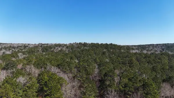 000 County Road 1717, Maydelle, TX 75772