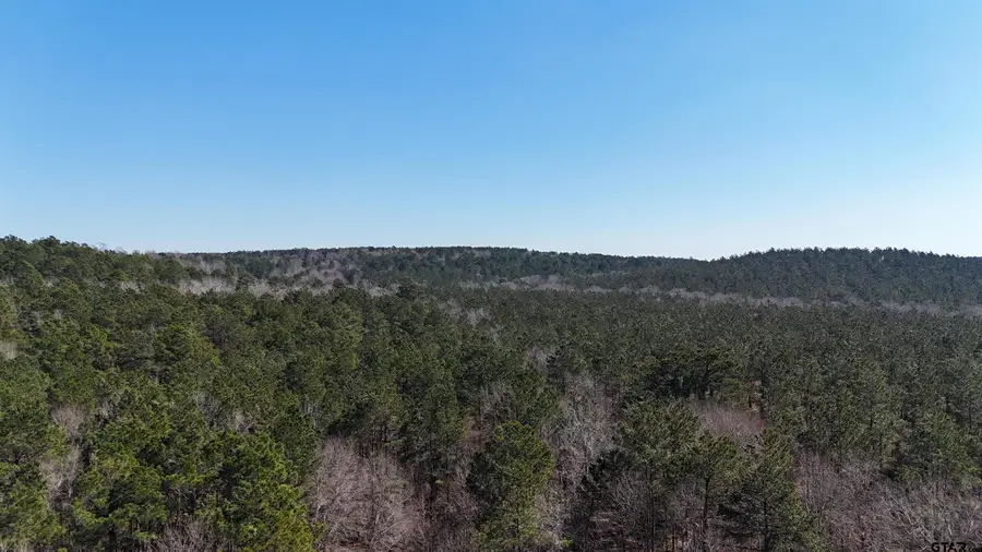 000 County Road 1717, Maydelle, TX 75772 - #2