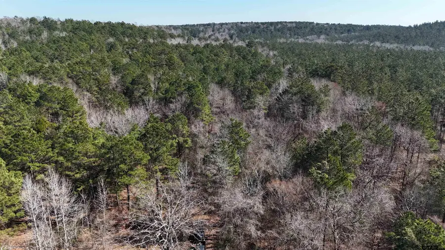 000 County Road 1717, Maydelle, TX 75772 - #3