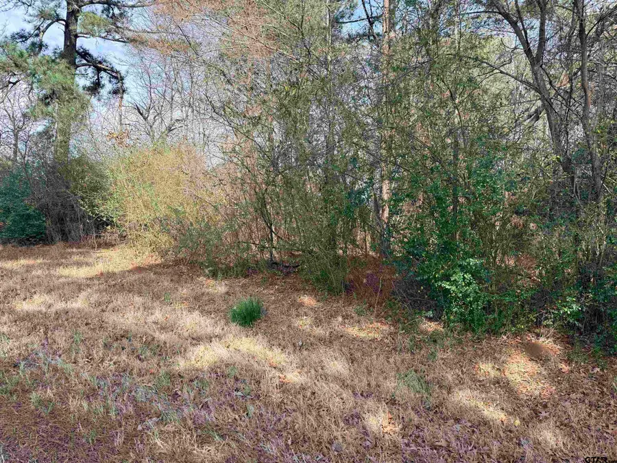 20425 FM 15, Troup, TX 75789 - #2