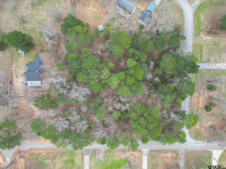 0 Sunshine Lane, Troup, TX 75789 - #2