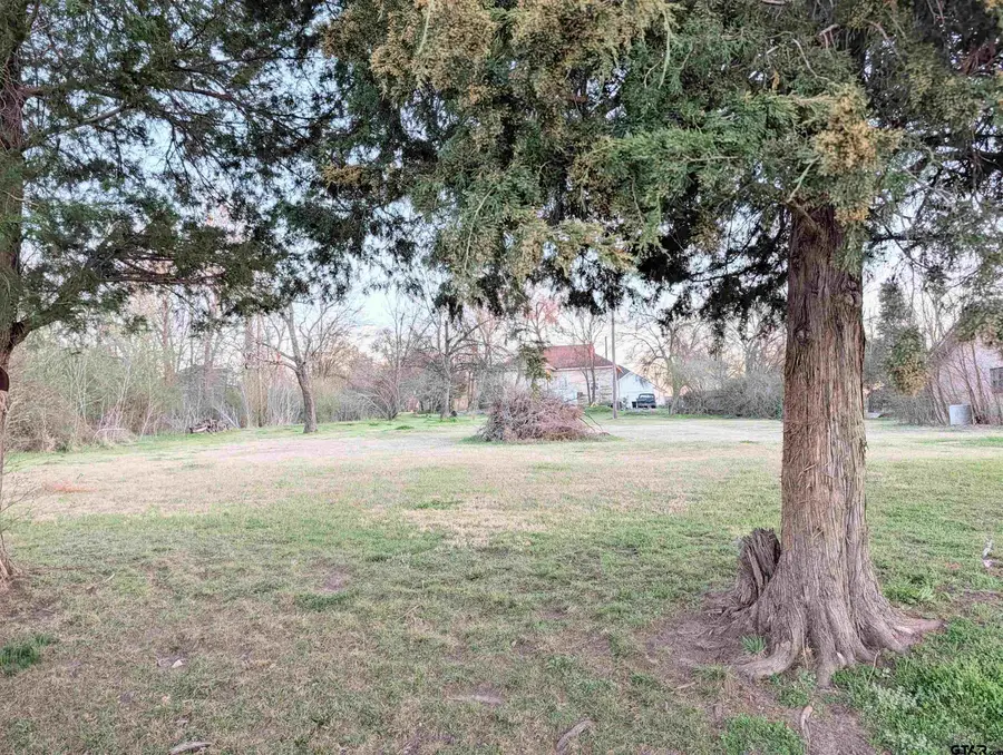 301 E Walnut St., Mabank, TX 75147 - #2