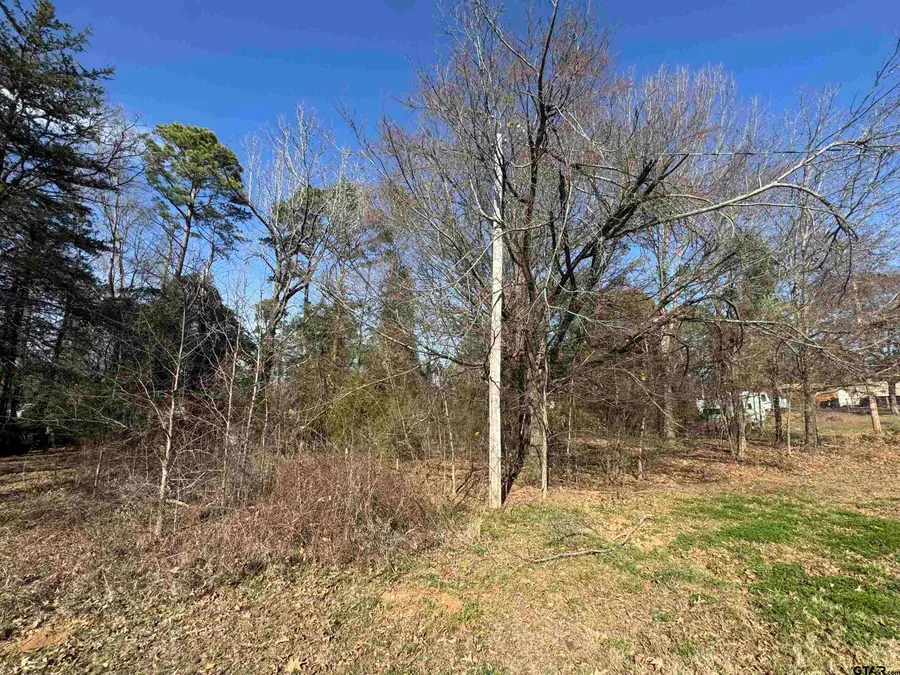TBD Private Road 52040, Pittsburg, TX 75686 - #2