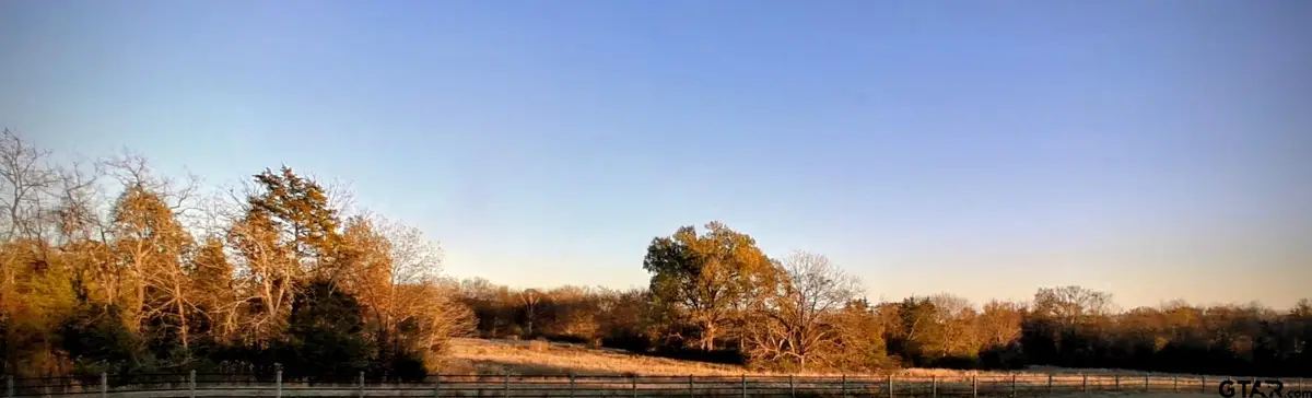 7034 HWY 67 E, Cookville, TX 75558 - #1