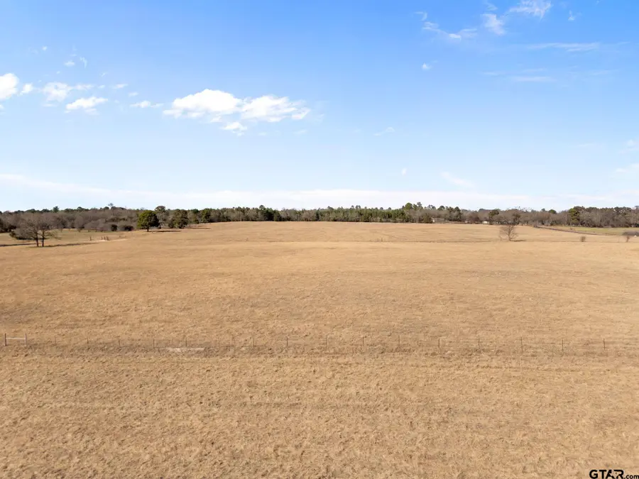 Lot 1 FM 1795, Big Sandy, TX 75755 - #2