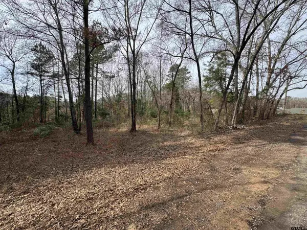 000 CR 1223, Tyler, TX 75709