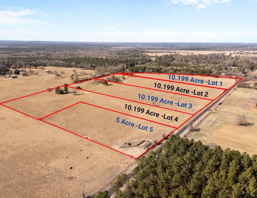 Lot 5 County Road 3689, Big Sandy, TX 75755 - #3