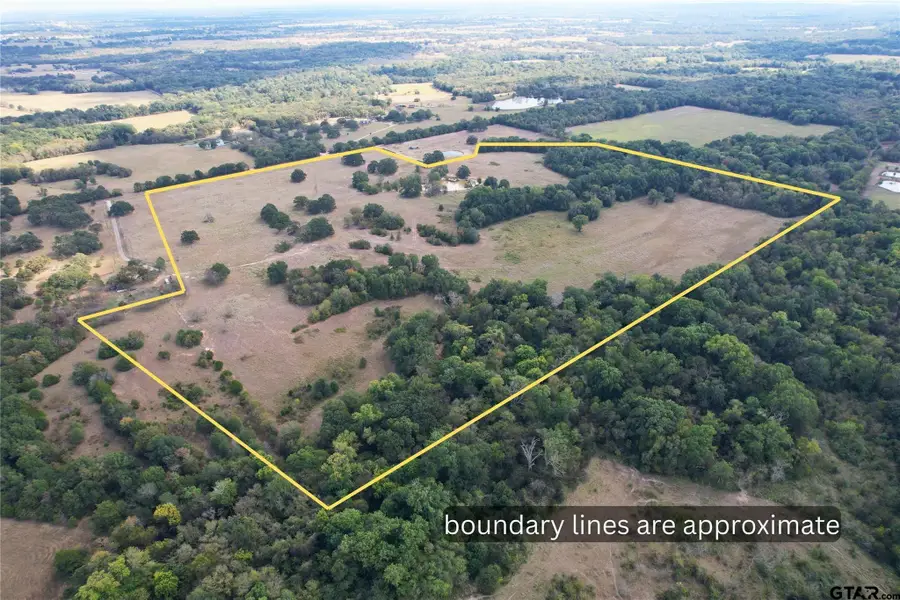 LOT 4 CR 1155, Brashear, TX 75420 - #2