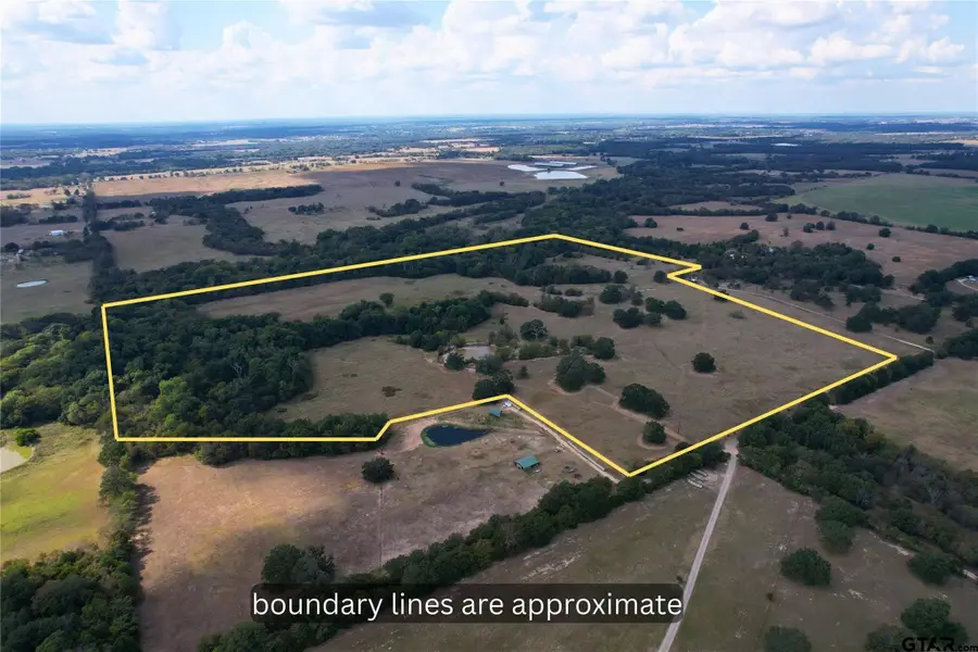 LOT 4 CR 1155, Brashear, TX 75420 - #3