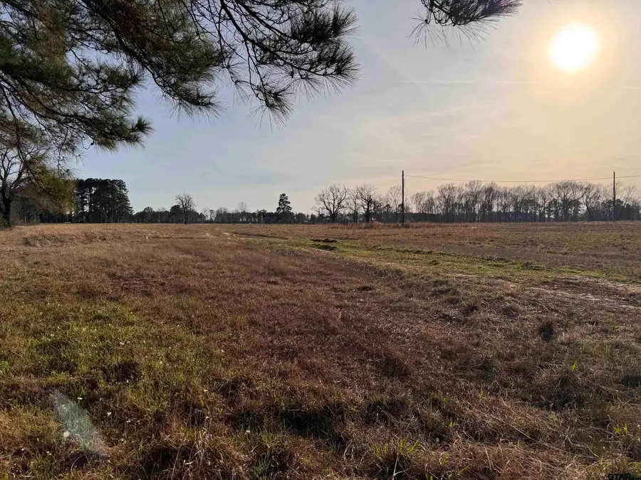 TBD Watson Rd, Kilgore, TX 75662 - #2