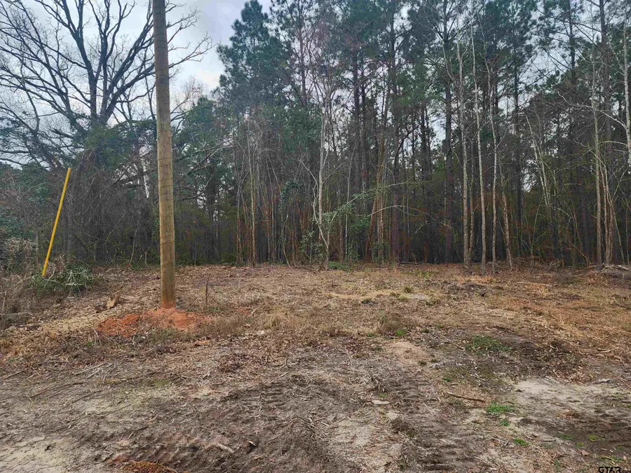 4665 CR 4114, Hughes Springs, TX 75656 - #3