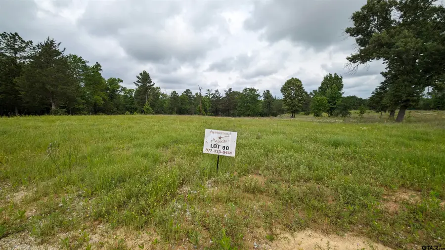 16832 Ridgeline Loop, Winona, TX 75792 - #3