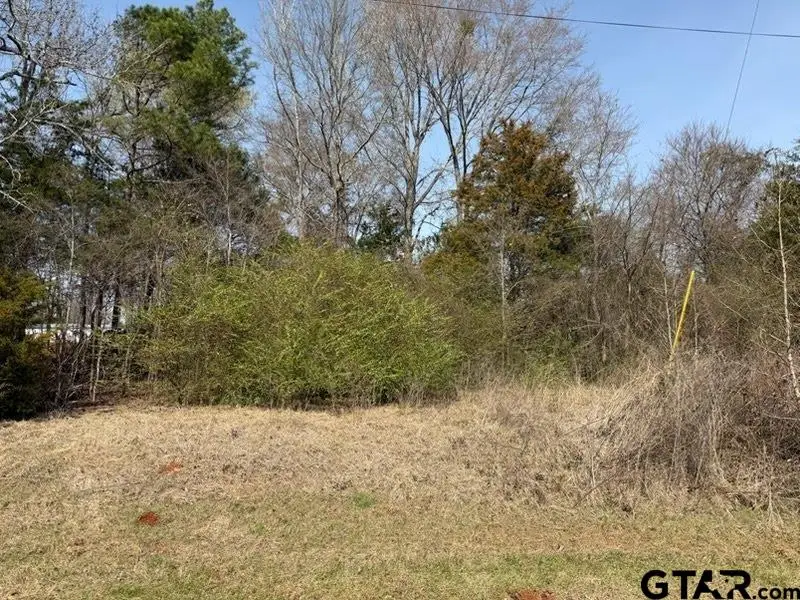 499 Crockett St, Bullard, TX 75757 - #2