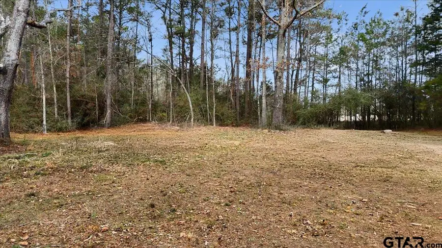 12174 S CR 3153, Mount Enterprise, TX 75681 - #2