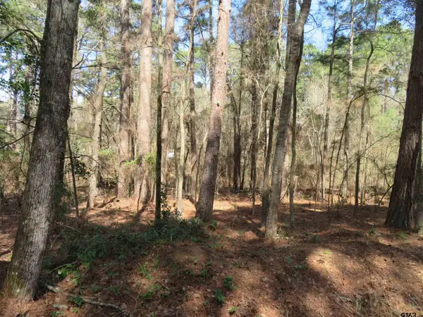 19904 Channel View dr., Flint, TX 75762