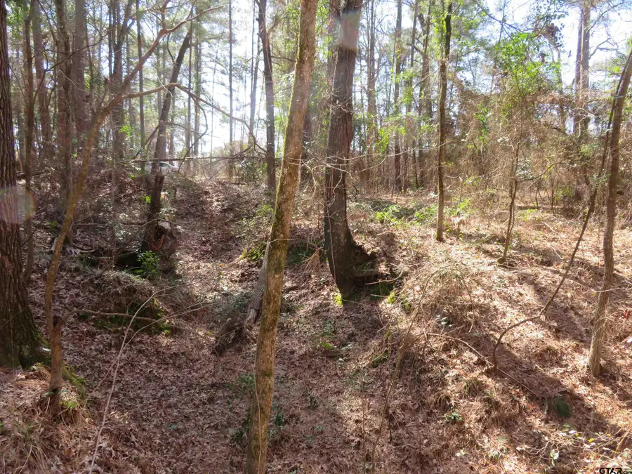 19904 Channel View dr., Flint, TX 75762 - #2