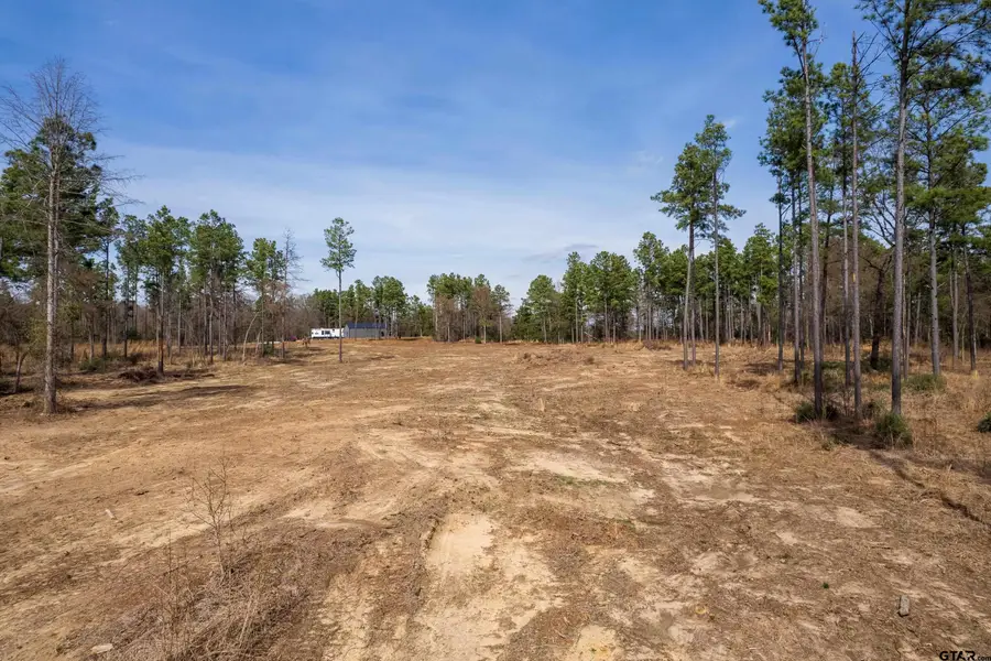 130 SE County Road 4415, Scroggins, TX 75480 - #2