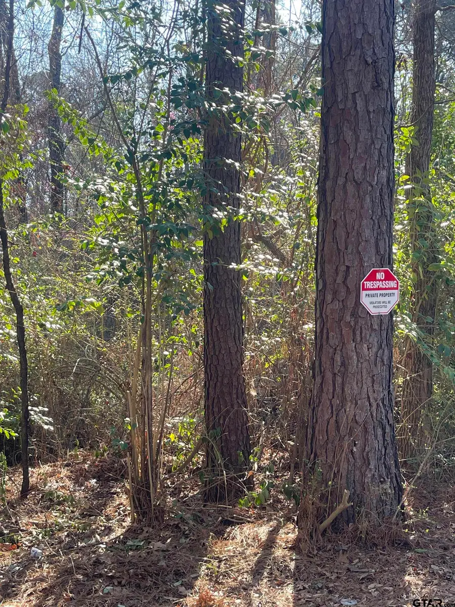 TBD CR 2151 (Tract 7A), Troup, TX 75789 - #2