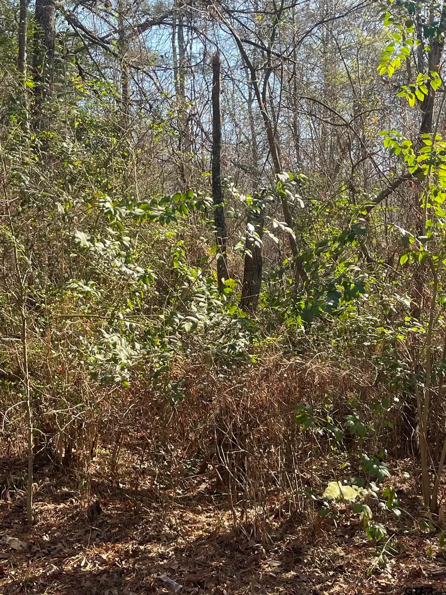 TBD CR 2151 (Tract 7A), Troup, TX 75789 - #3