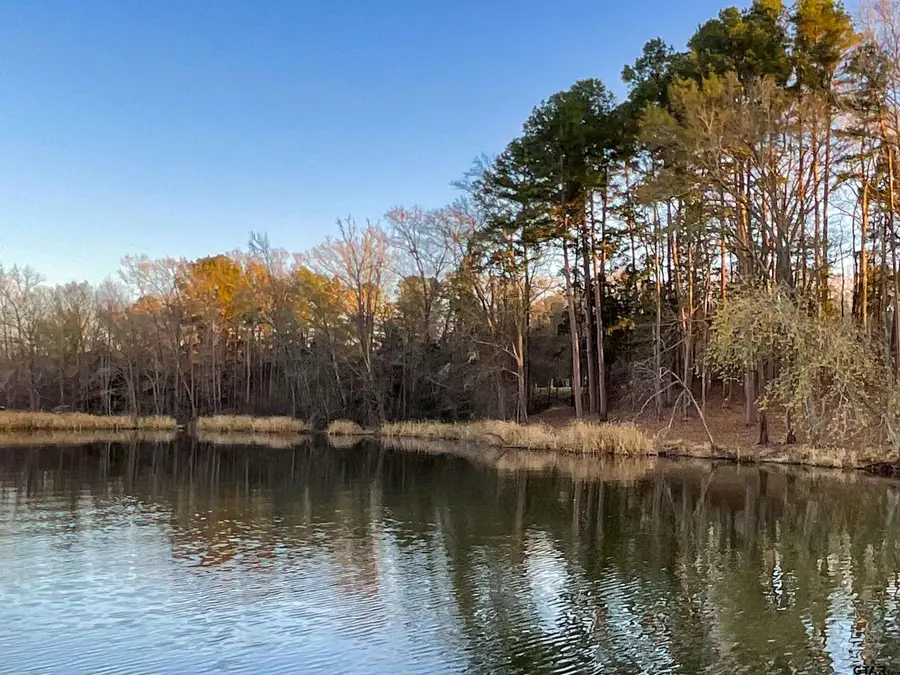 17961 Gordons landing rd, Arp, TX 75750 - #2