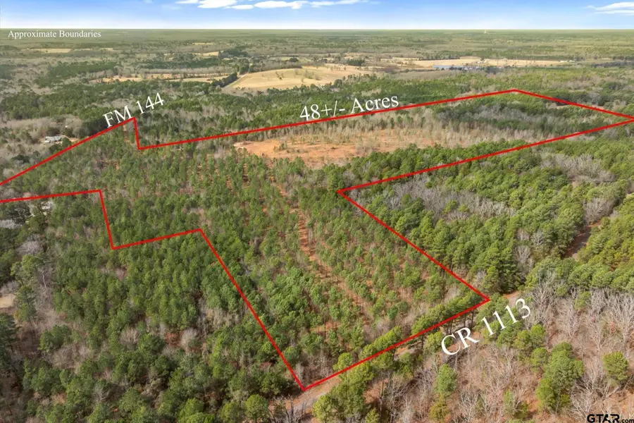 00 Fm 144, Daingerfield, TX 75638 - #3