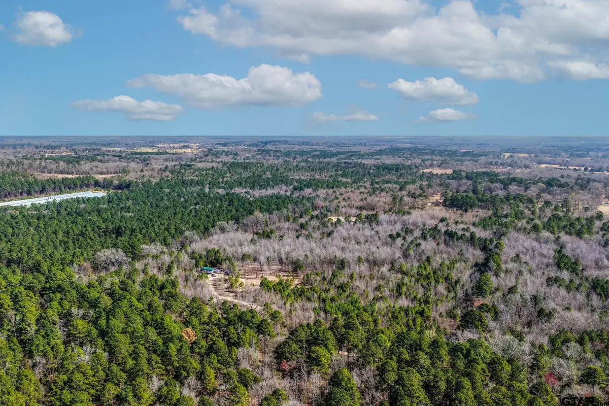 1462 Mole Road, Winnsboro, TX 75494 - #1