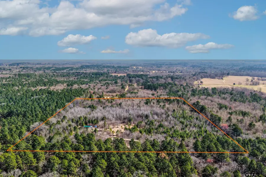 1462 Mole Road, Winnsboro, TX 75494 - #3