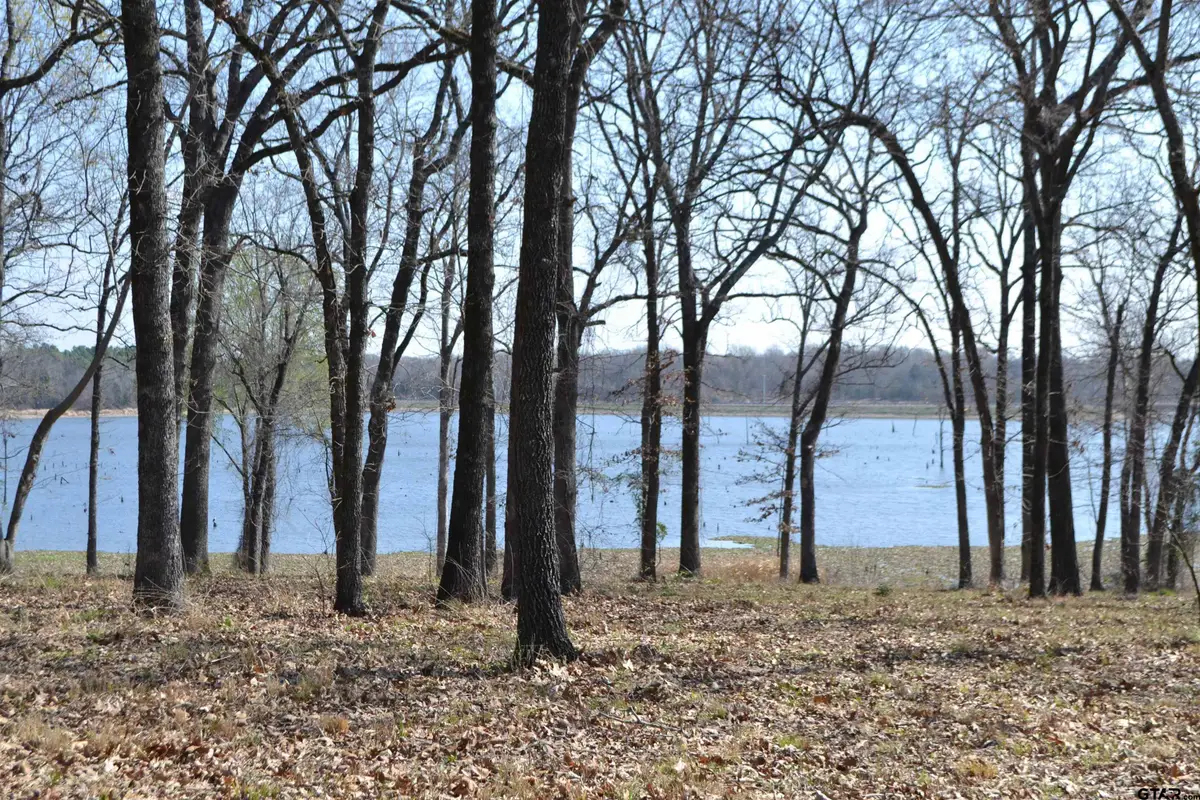 Lot 13 Angler Shores Drive, Yantis, TX 75497 - #1