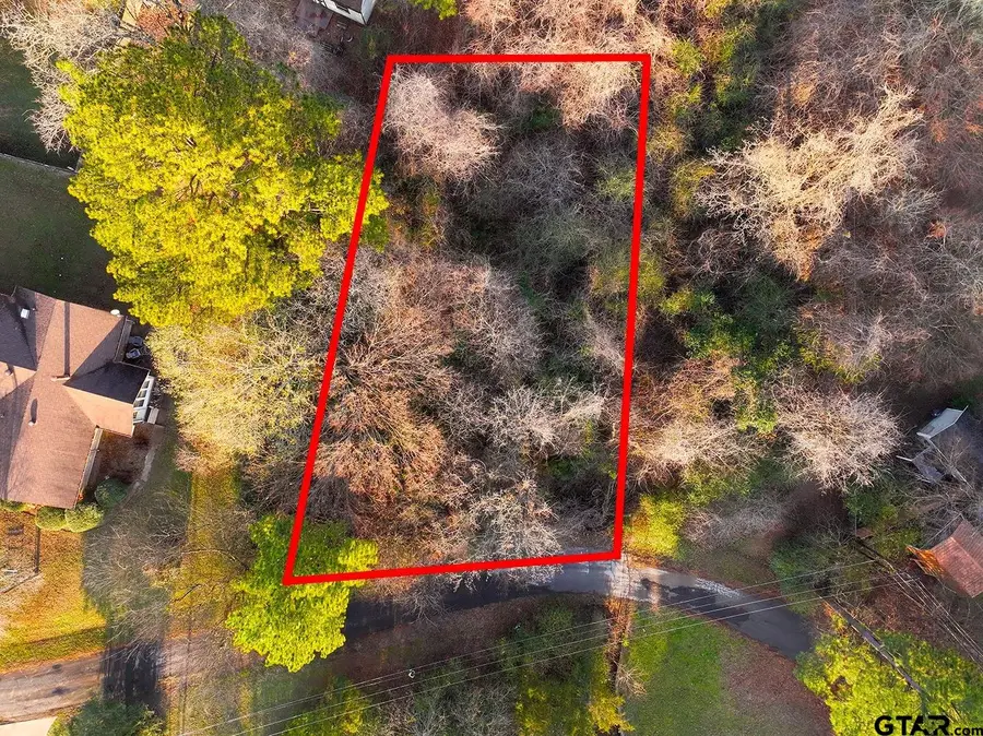 Lot 128, 144 County Road 2123, Quitman, TX 75783 - #3