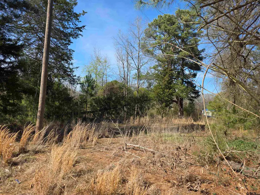 TBD CR 2312, Pittsburg, TX 75686 - #2