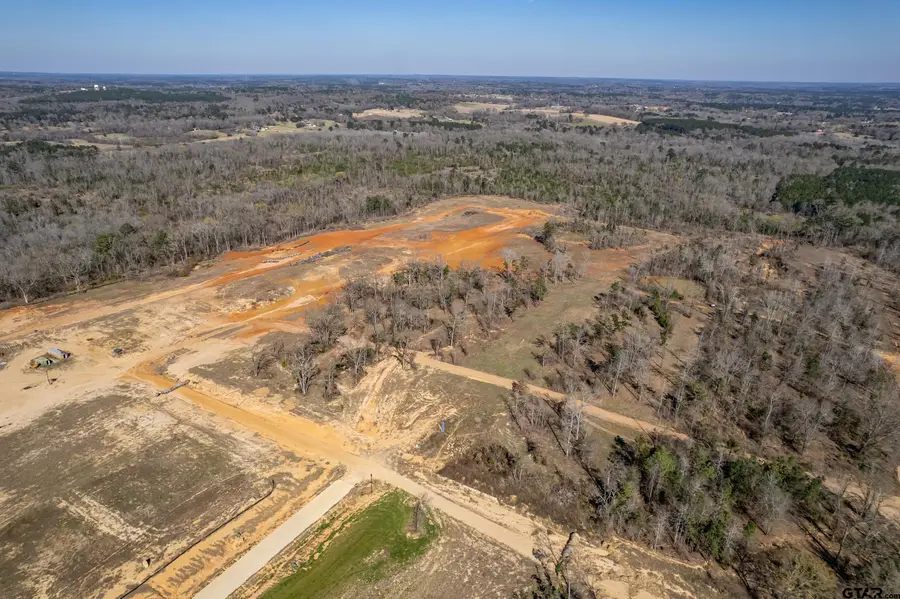 0 Back Forty, Whitehouse, TX 75791 - #2