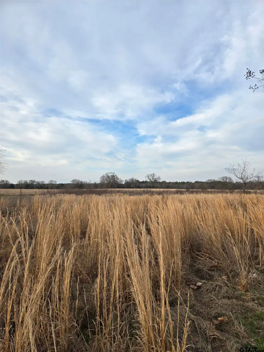 TBD CR 4836 0.50, Winnsboro, TX 75494 - #3