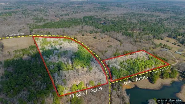 TBD CR 3986, Winnsboro, TX 75494