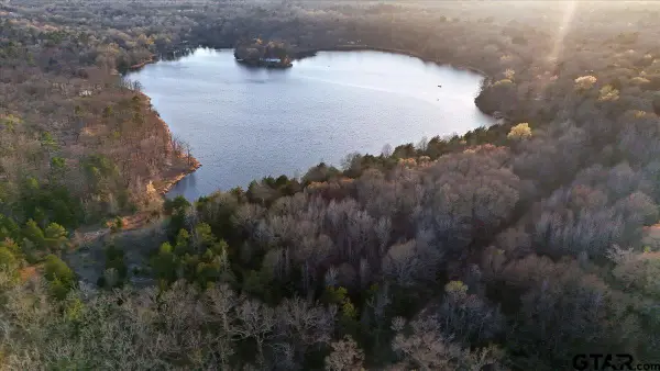 0000 Holiday Pine Drive, Mineola, TX 75773