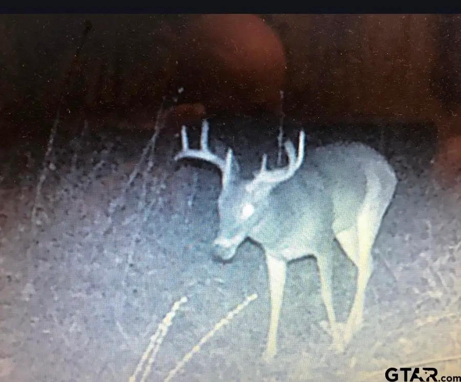 526 N CR 1820, Talco, TX 75487 - #3