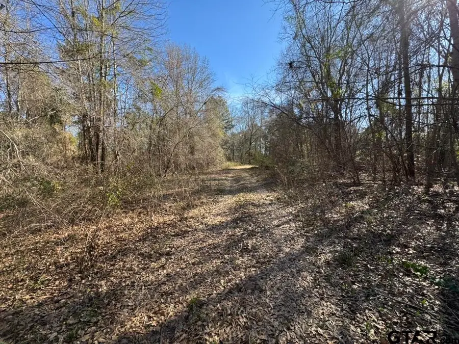 0 Timberridge Ln, Whitehouse, TX 75791 - #2