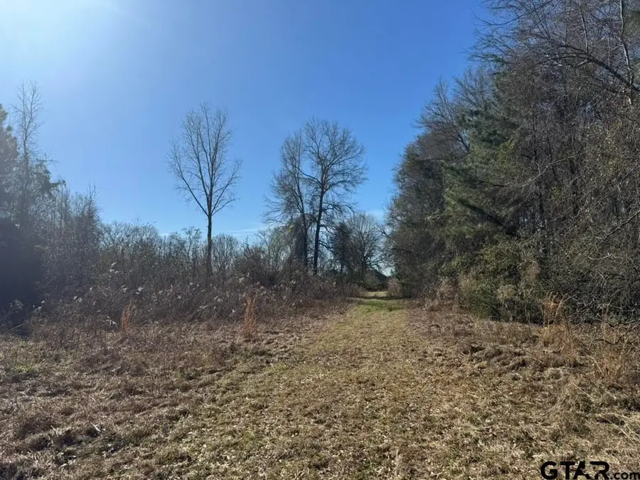 0 Timberridge Ln, Whitehouse, TX 75791 - #3