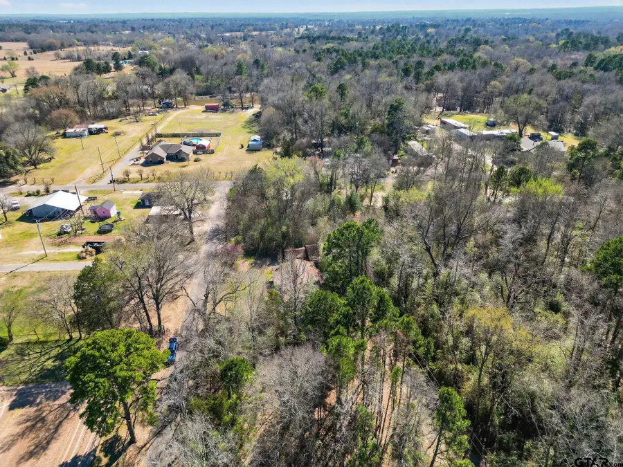 318 CR 2922, Alba, TX 75410 - #3