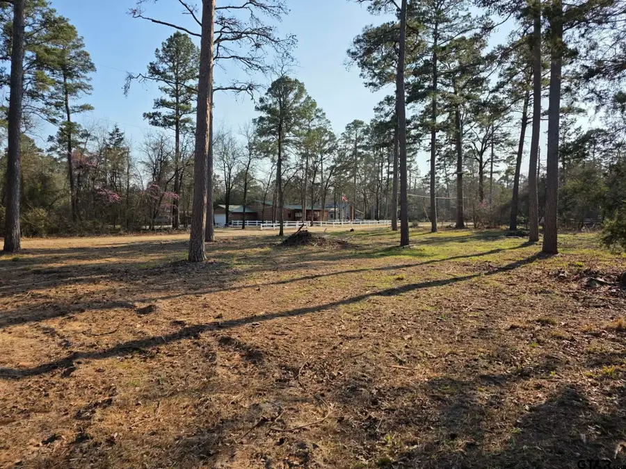 TBD King Charles Road, Scroggins, TX 75480 - #2