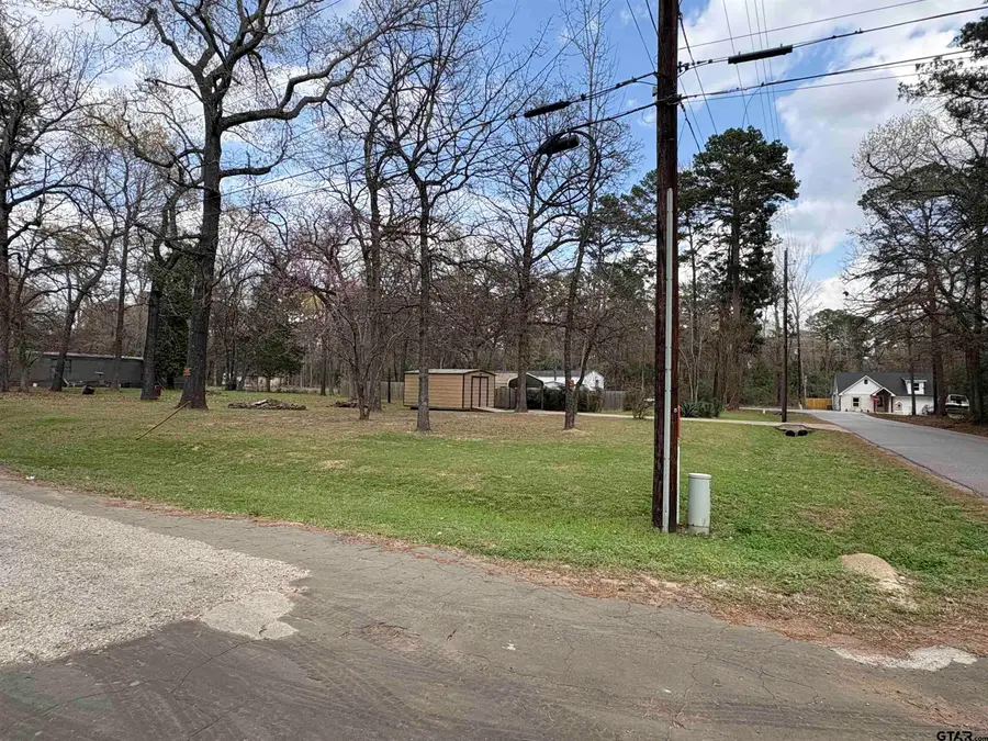 720 Caroline Bnd, Bullard, TX 75757 - #2