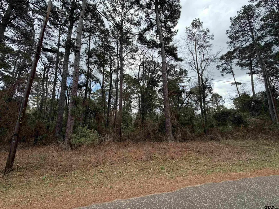 573 Janis Dr., Bullard, TX 75757 - #2