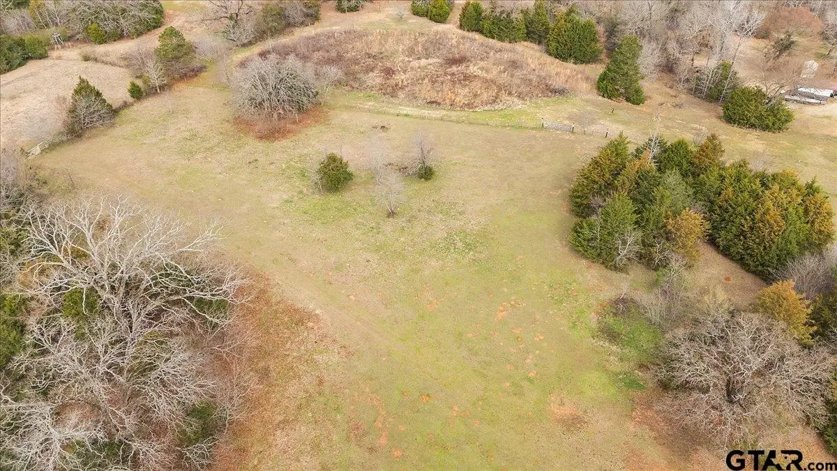 2605 VZ County Road 4923, Ben Wheeler, TX 75754 - #1