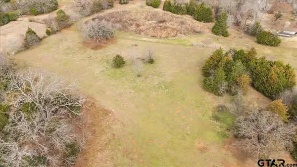 2605 VZ County Road 4923, Ben Wheeler, TX 75754